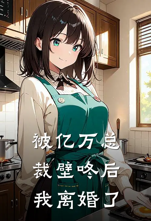 被亿万总裁壁咚后，我离婚了