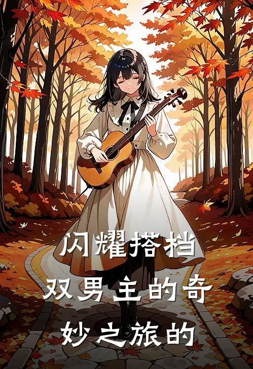 闪耀搭档，双男主的奇妙之旅的