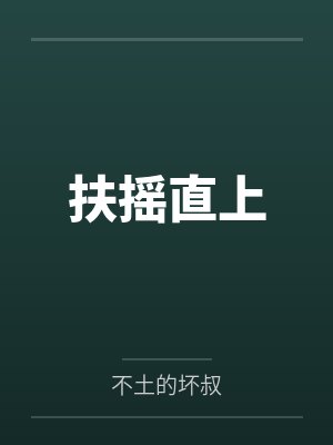 扶摇直上封面