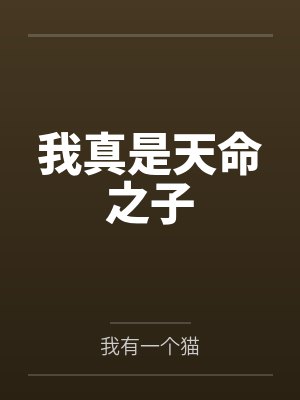 秦明秦动我真是天命之子封面